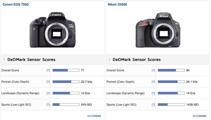 Canon EOS 750D vs. Nikon D5500 (DxOMark)